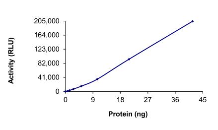 The specific activity of FGFR1 (W666R) was determined to be 15 nmol/min/mg as per activity assay protocol.